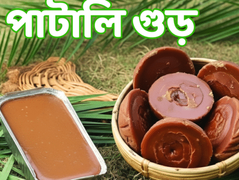 খেজুরের পাটালি গুড় - Juicy North